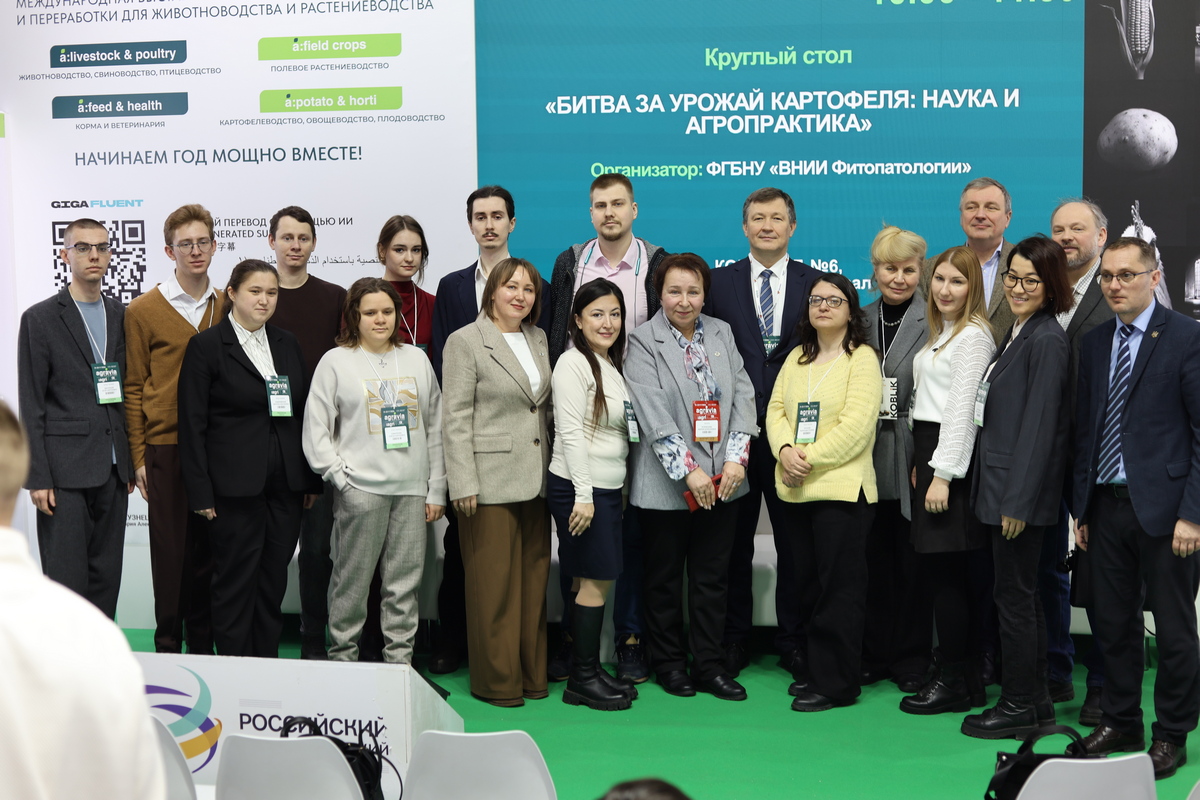 Битва за урожай картофеля 001