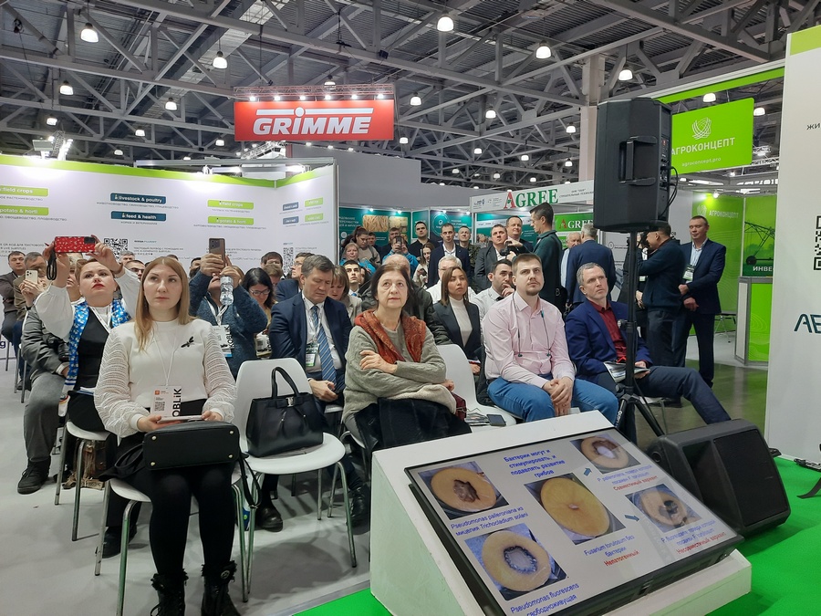 Битва за урожай картофеля 002